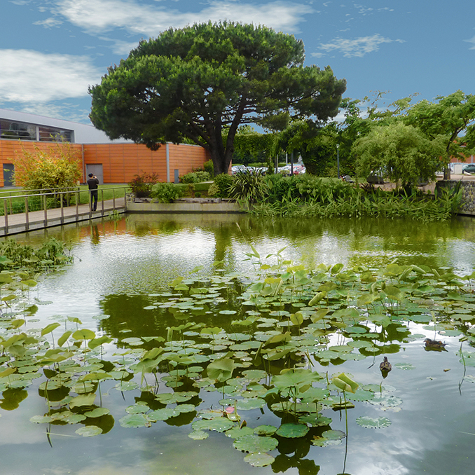 Le Domaine des Marots - Colomiers